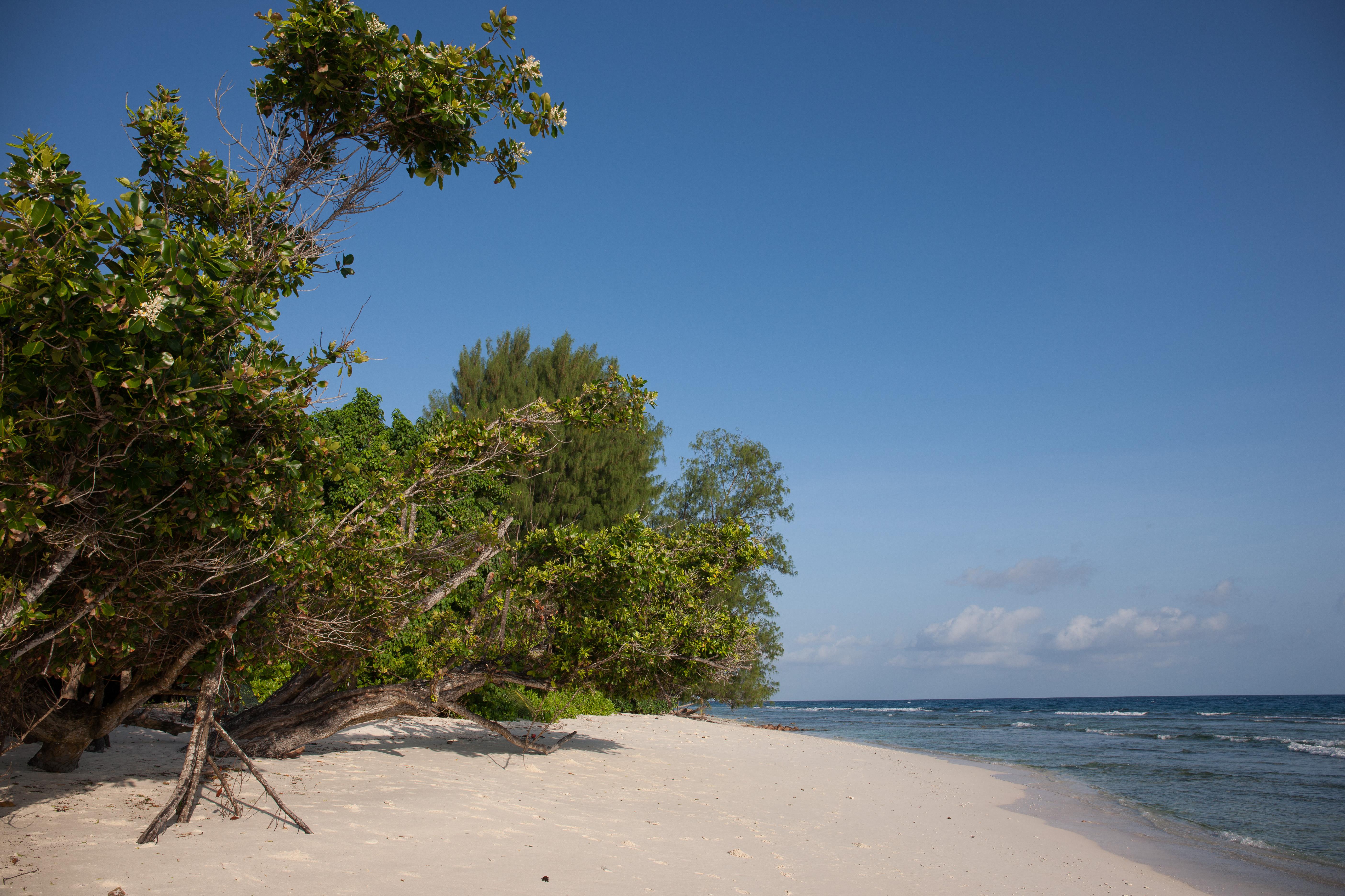 Le Relax Luxury Lodge (Adults Only) La Digue Exteriér fotografie