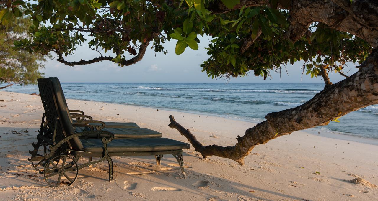 Le Relax Luxury Lodge (Adults Only) La Digue Exteriér fotografie